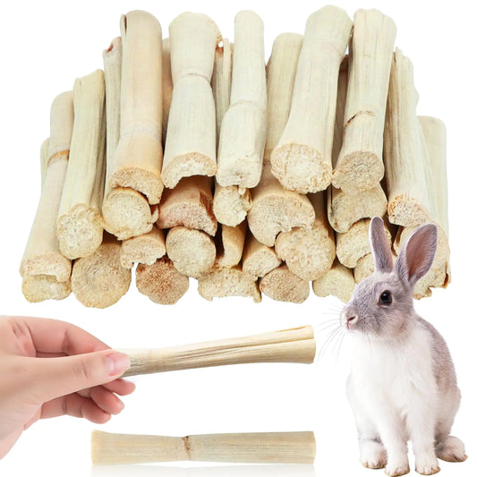 1lb Sweet Bamboo Chew Toy Treat